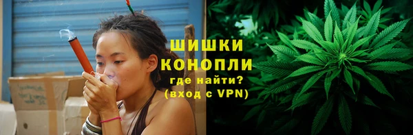 крисы Михайловск