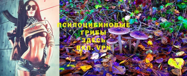 соль курить ск Алексин