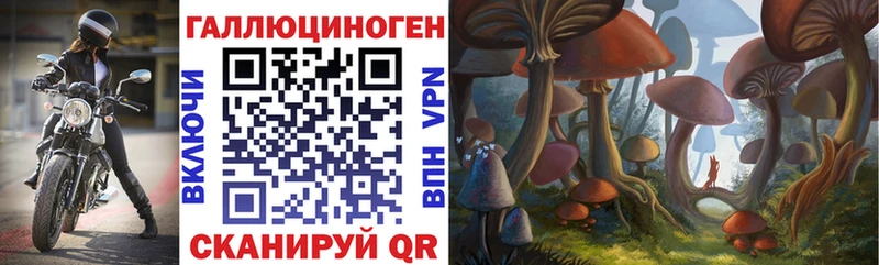 Галлюциногенные грибы мицелий  Чайковский 